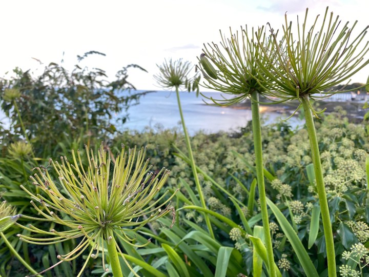 Cornish Creations – Me, myself and&nbsp;I