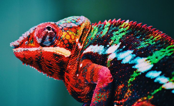 Decoding Colour – What does your brand say about you? 