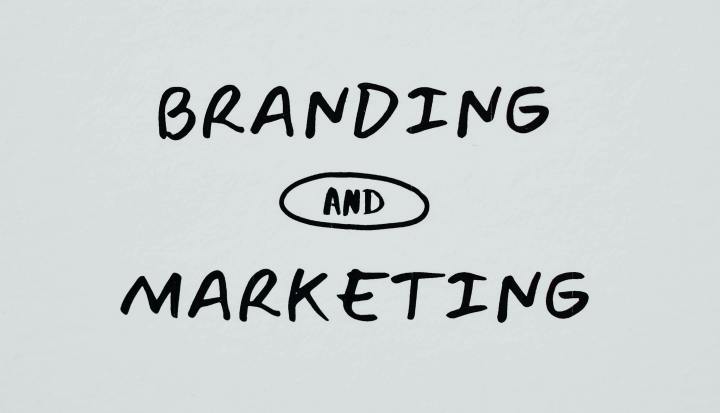 Reignite your brand’s&nbsp;potential